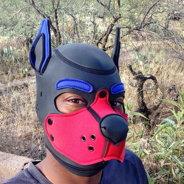 Pup Biz